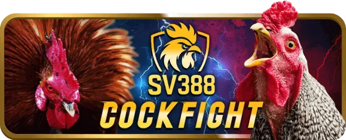 Hỗ trợ khách hàng chuyên nghiệp bet678